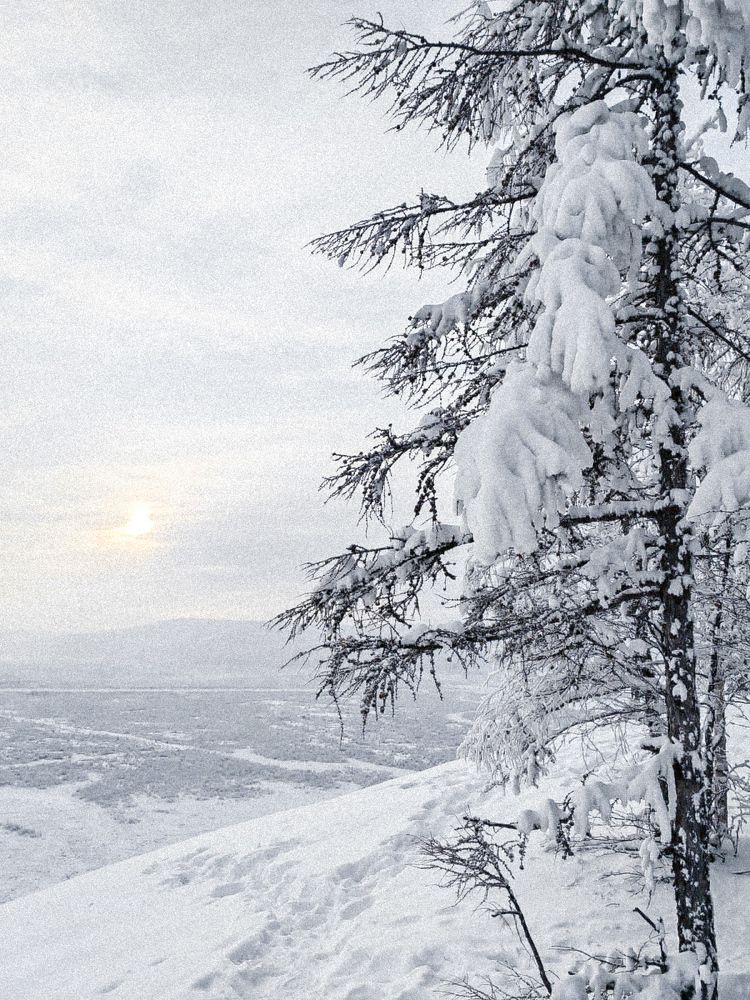 Photograph by Марина