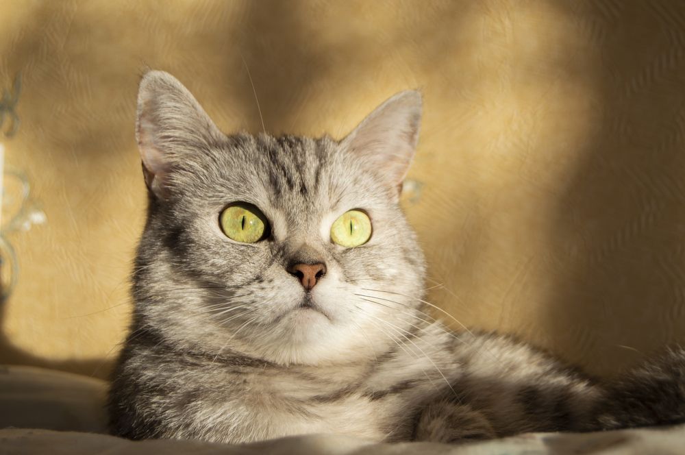 Photograph by Елизавета Гаранжа