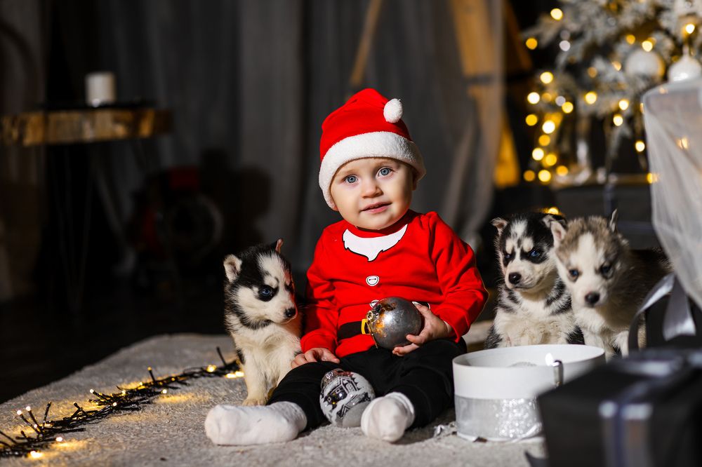 Фотография автора Ksenya Kadiim & Gudimova Eva