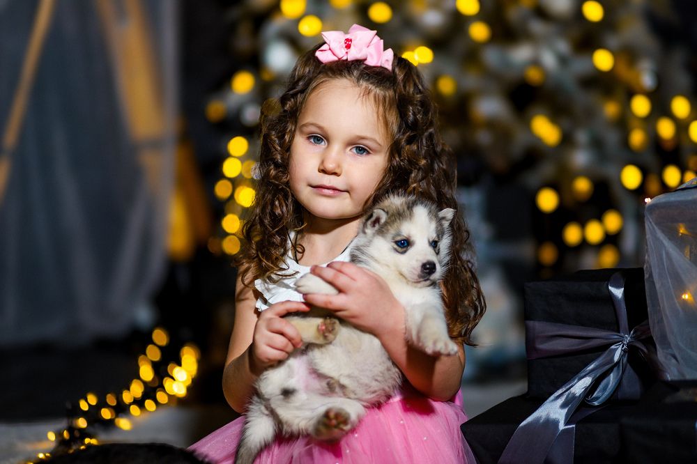 Фотография автора Ksenya Kadiim & Gudimova Eva