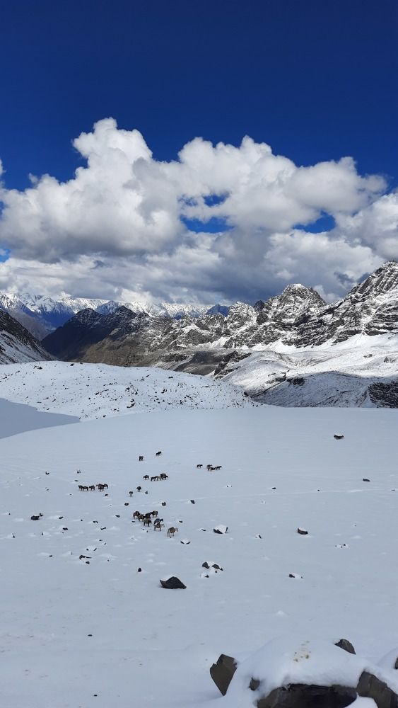 The mountains, the snow and a cloudy sky
