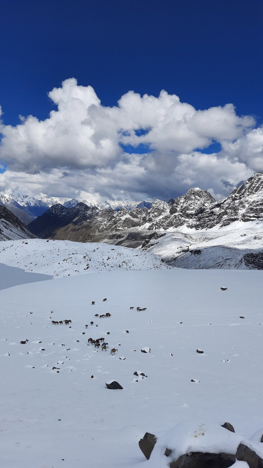The mountains, the snow and a cloudy sky