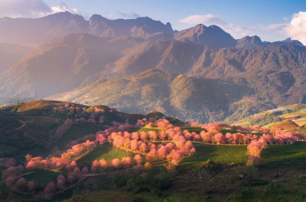 Photograph by Anh Tuấn Trần