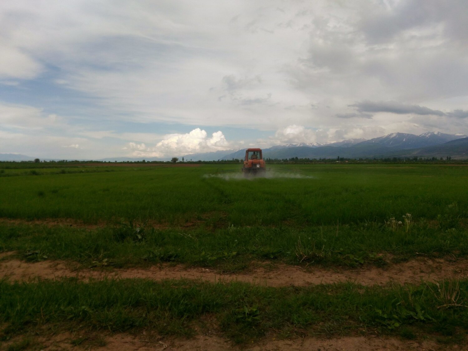 Photo #10044817