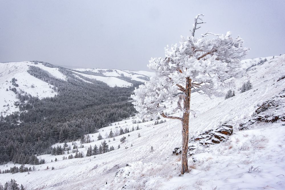 Фотография автора Сергей Сынтин