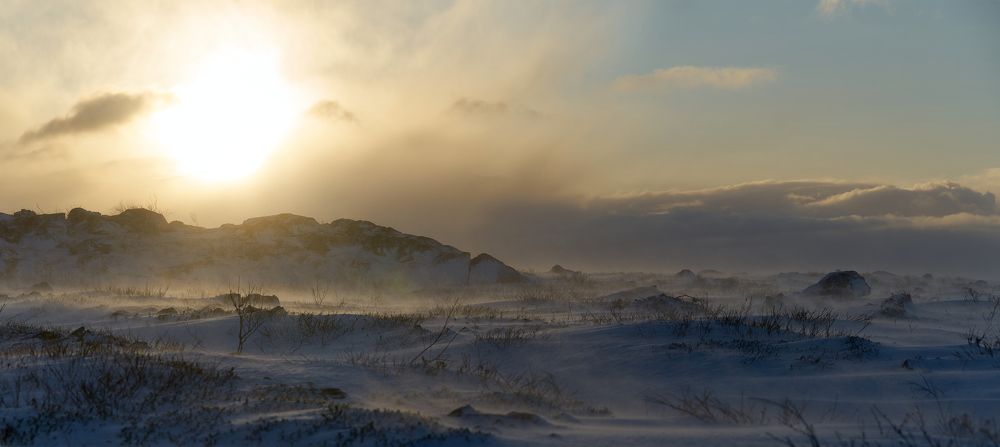 Photograph by Макс Карпович