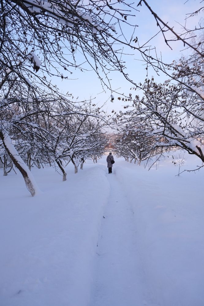 Photograph by Диана Грэске