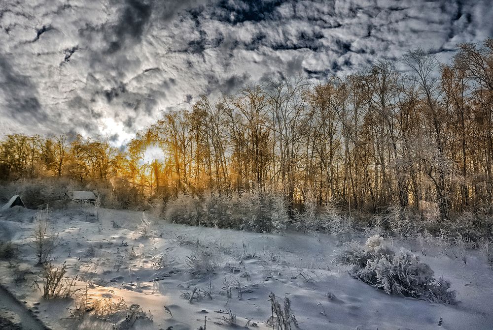 Photograph by arkadii Ануфриев