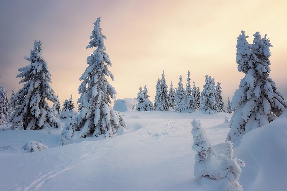 Photograph by Антон Кошетаров