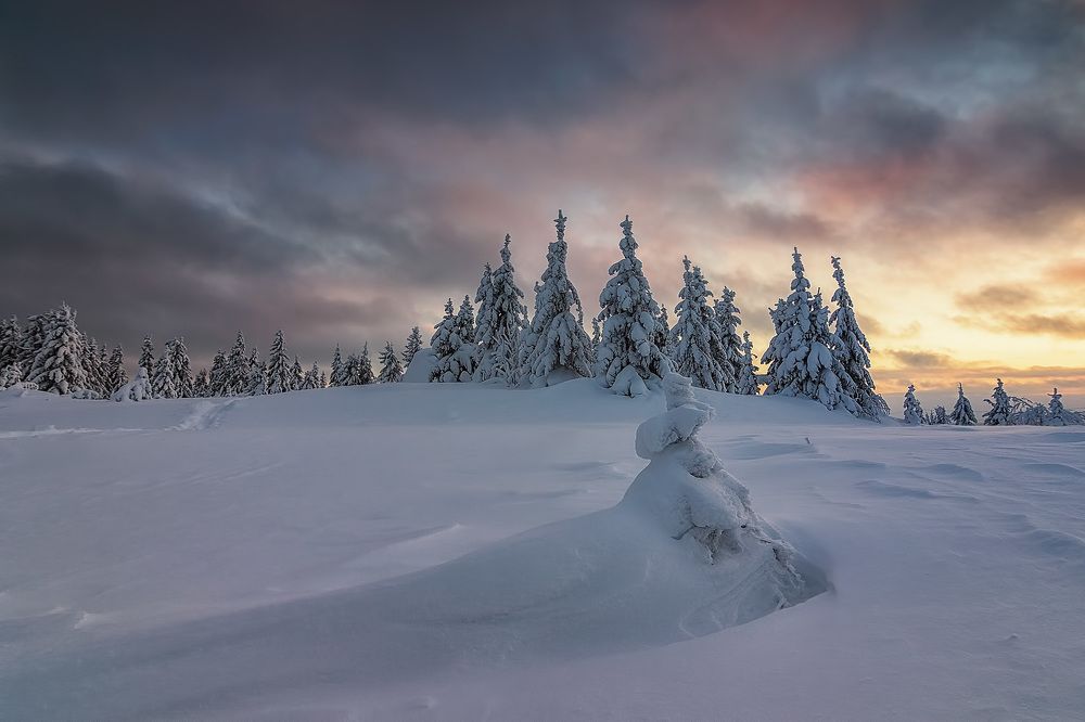 Photograph by Антон Кошетаров