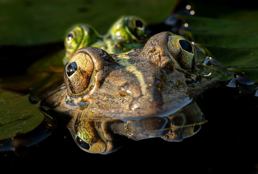 Photograph by Sheikh Ahmedul Hoque