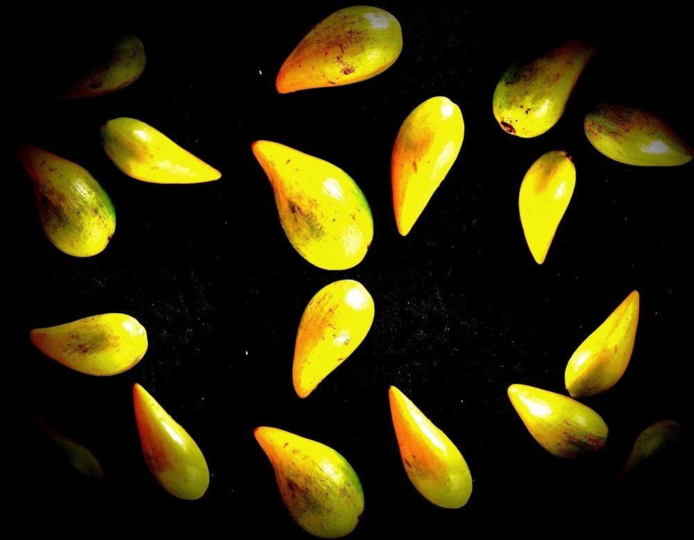 Photograph by Ekaterina