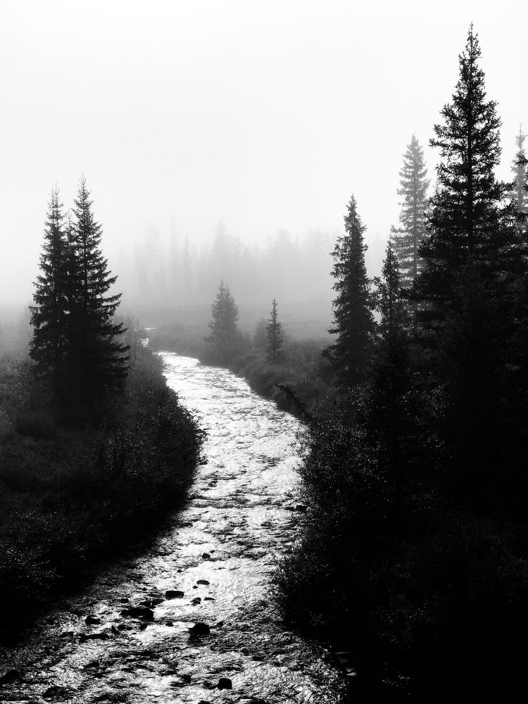 Photograph by Макс Карпович