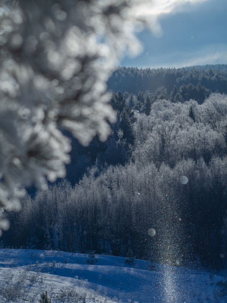 Photograph by Илья Долгушев