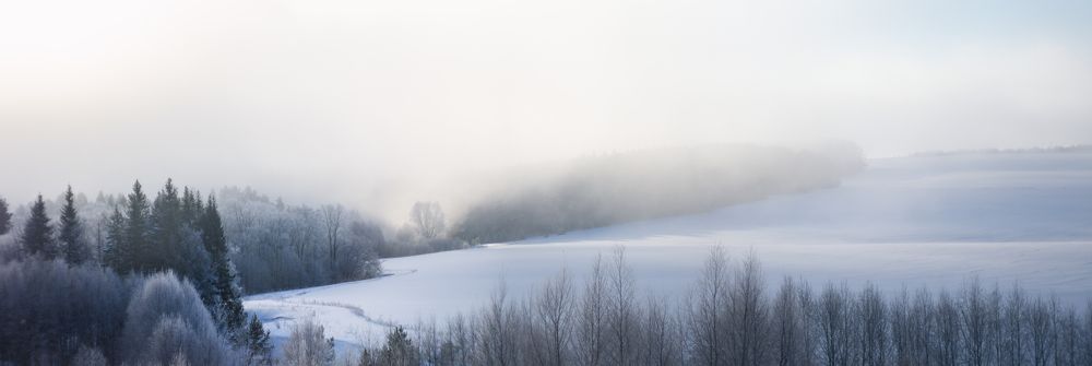 Photograph by Илья Долгушев