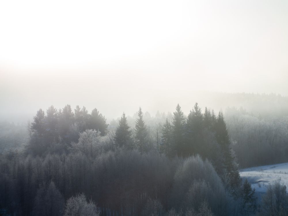 Photograph by Илья Долгушев