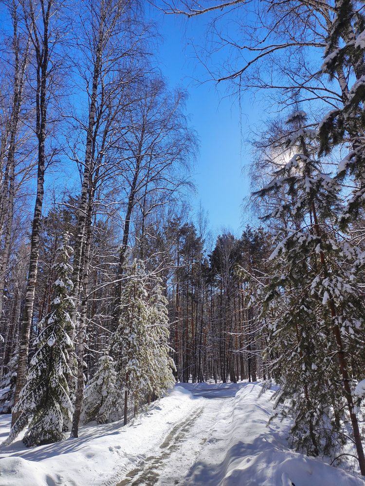 Photograph by Ольга Владимировна