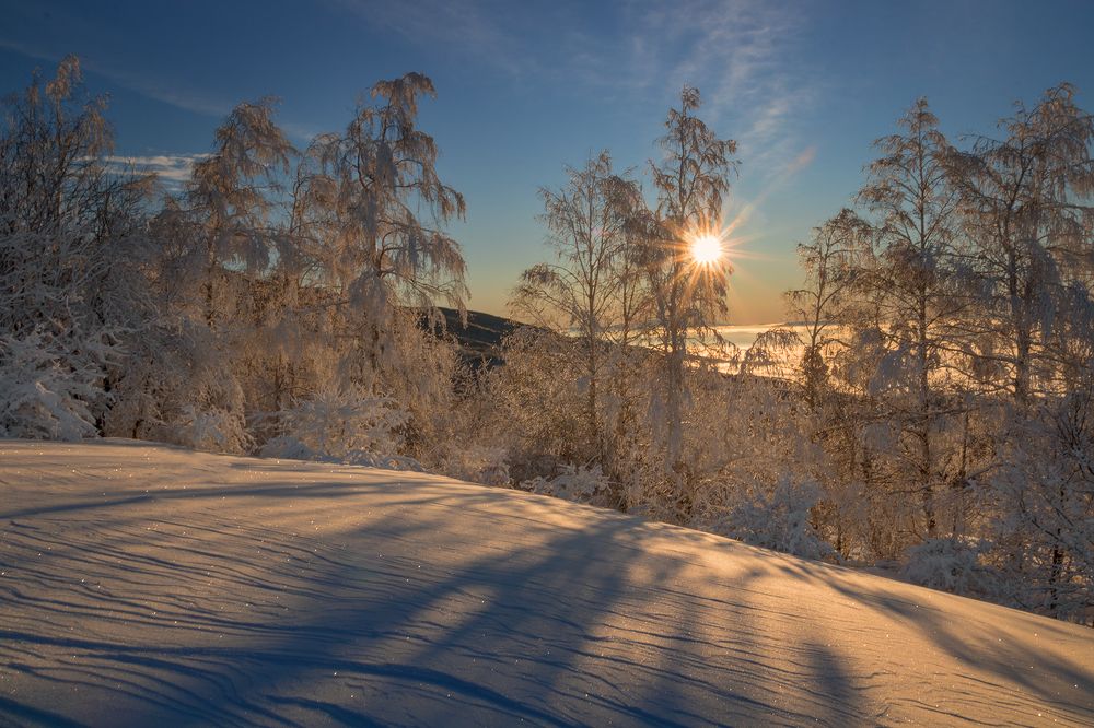 Photograph by Vania Tonova