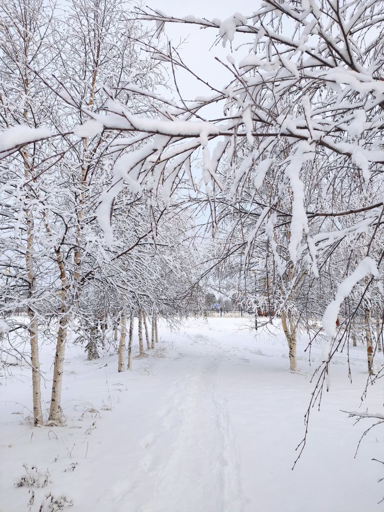Photograph by Ольга Владимировна