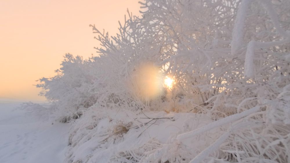 Photograph by Kostantin Belonogov