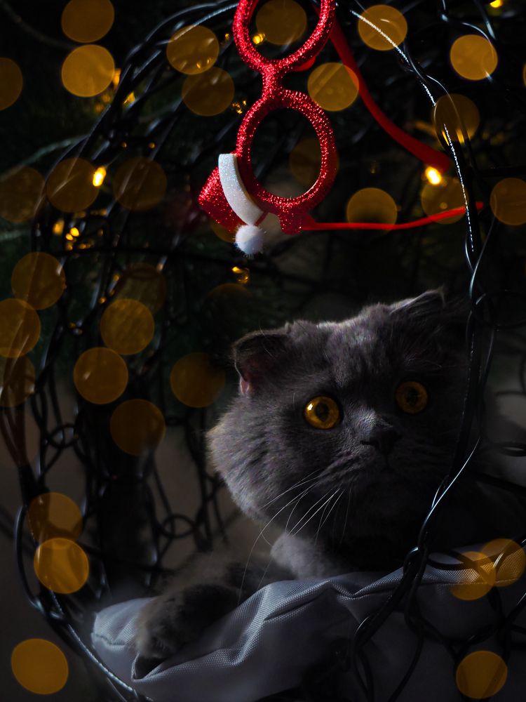 Photograph by Ольга Неведрова