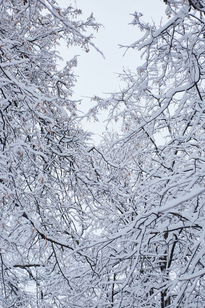 Photograph by Светлана Сафонова