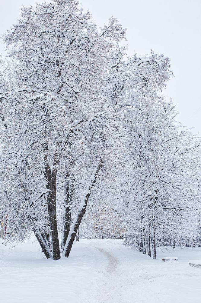 Photograph by Светлана Сафонова