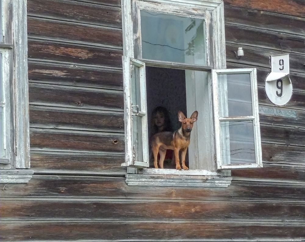 Photograph by Евгений Соколов