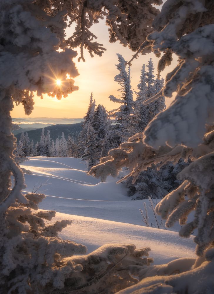 Photograph by Рубан Алена