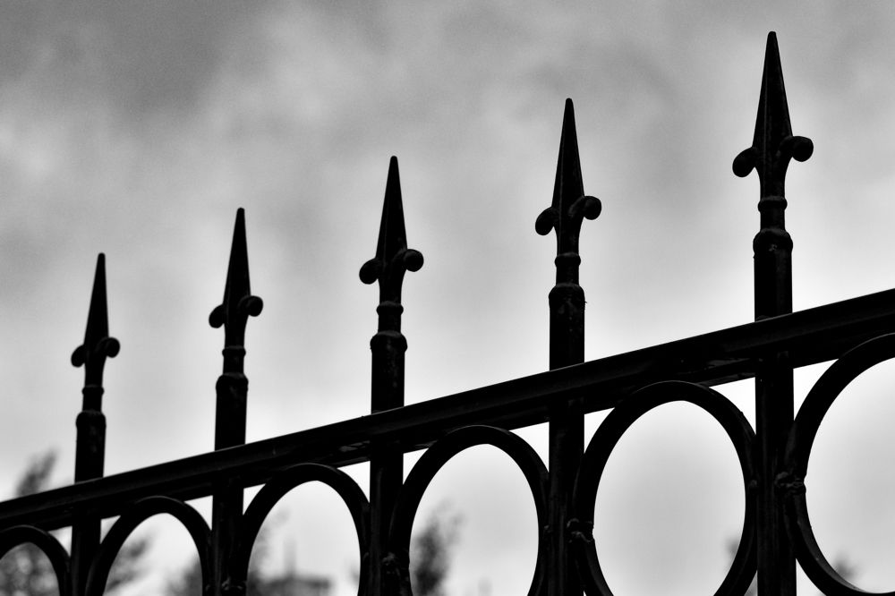 Photograph by Наталия Карни