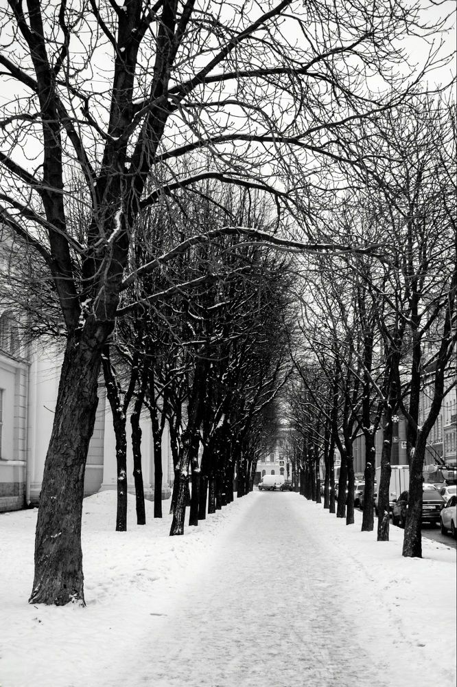 Photograph by Наталия Карни