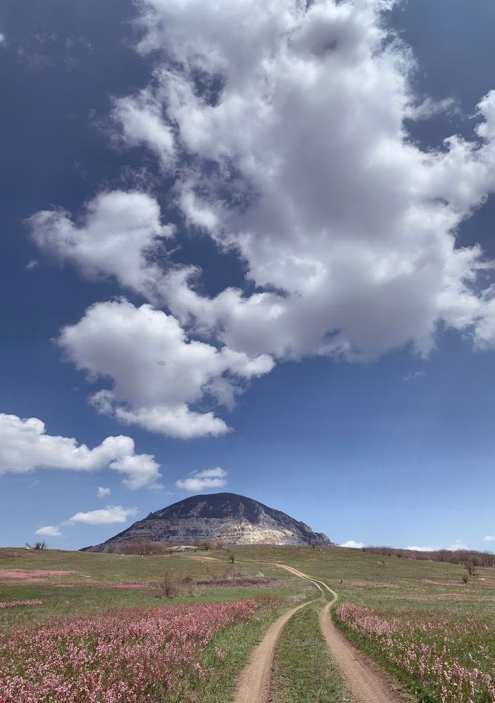 Photograph by Мария Алейникова