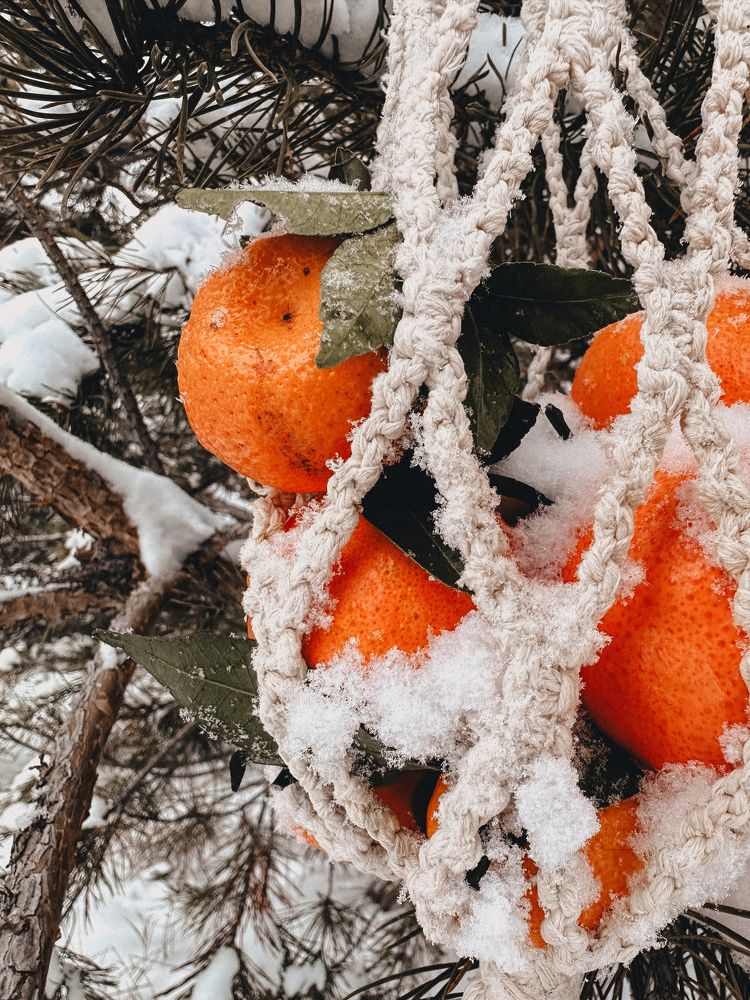 Photograph by Ольга