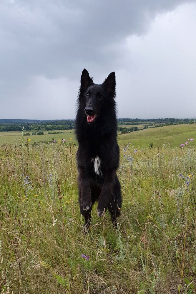 Фотография автора Надежда Лисицына