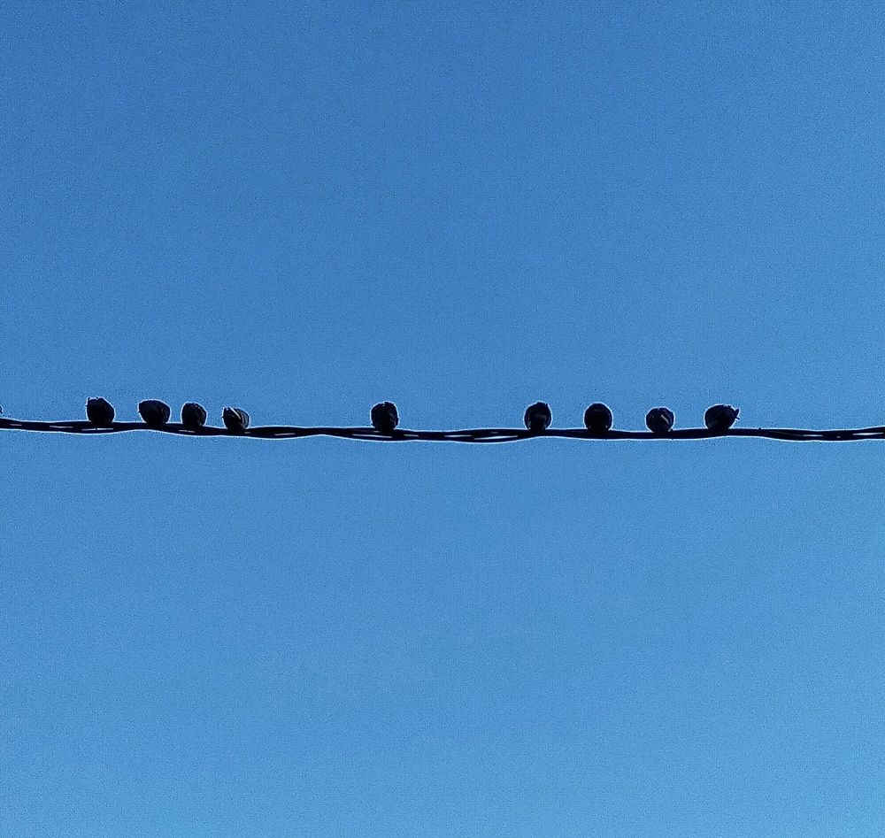 Photograph by Ольга Мартьянова