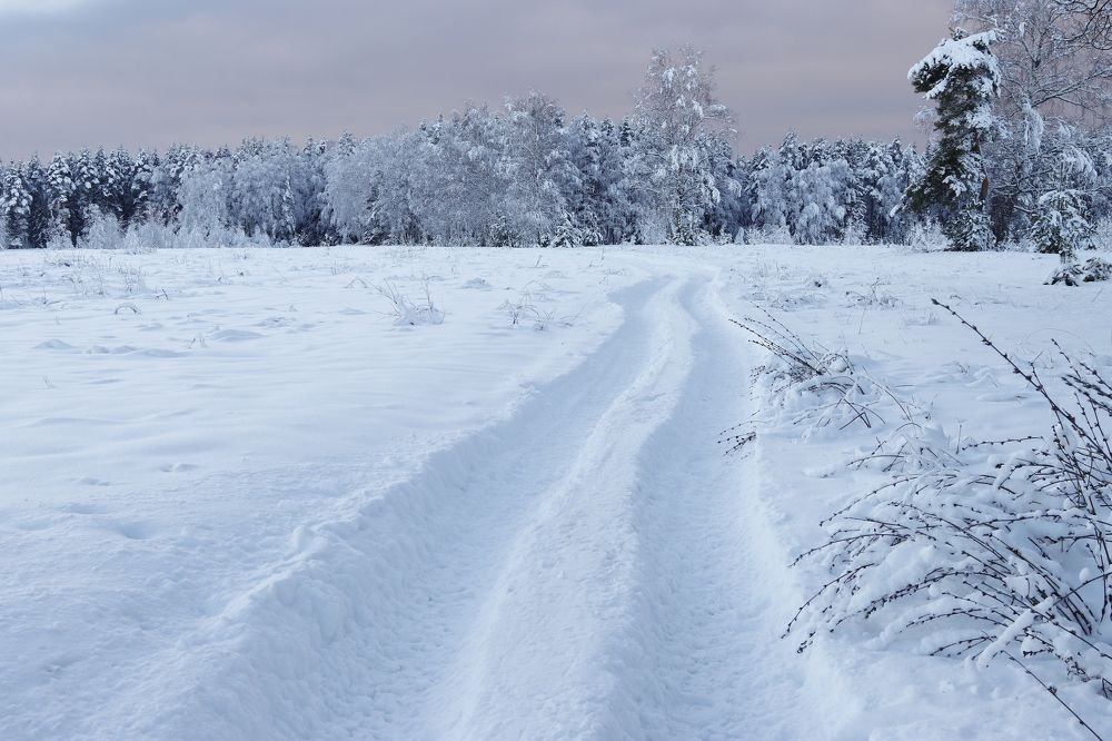 Photograph by Sergei Paramonov