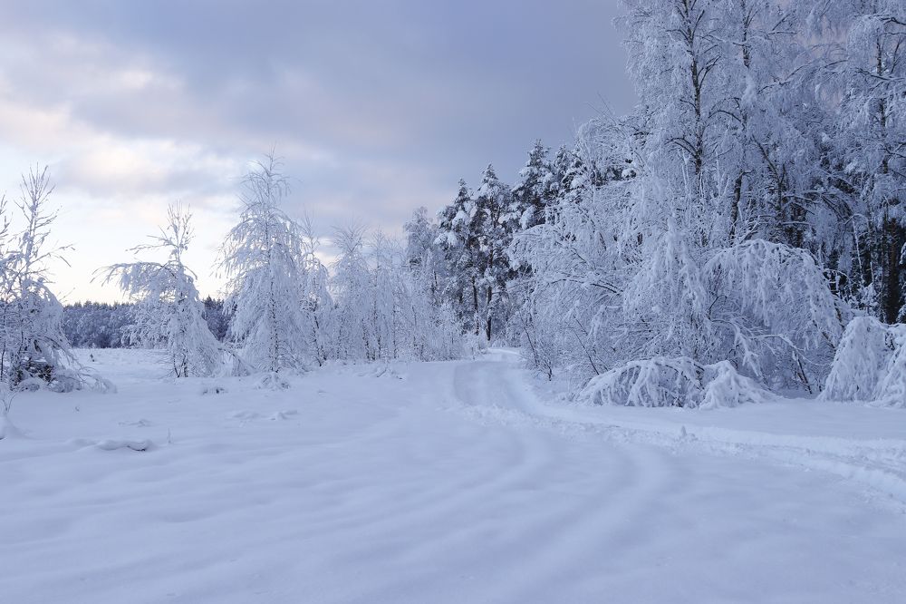 Photograph by Sergei Paramonov