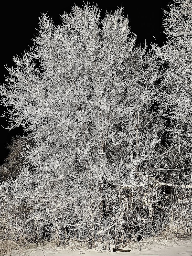 Photograph by Ольга