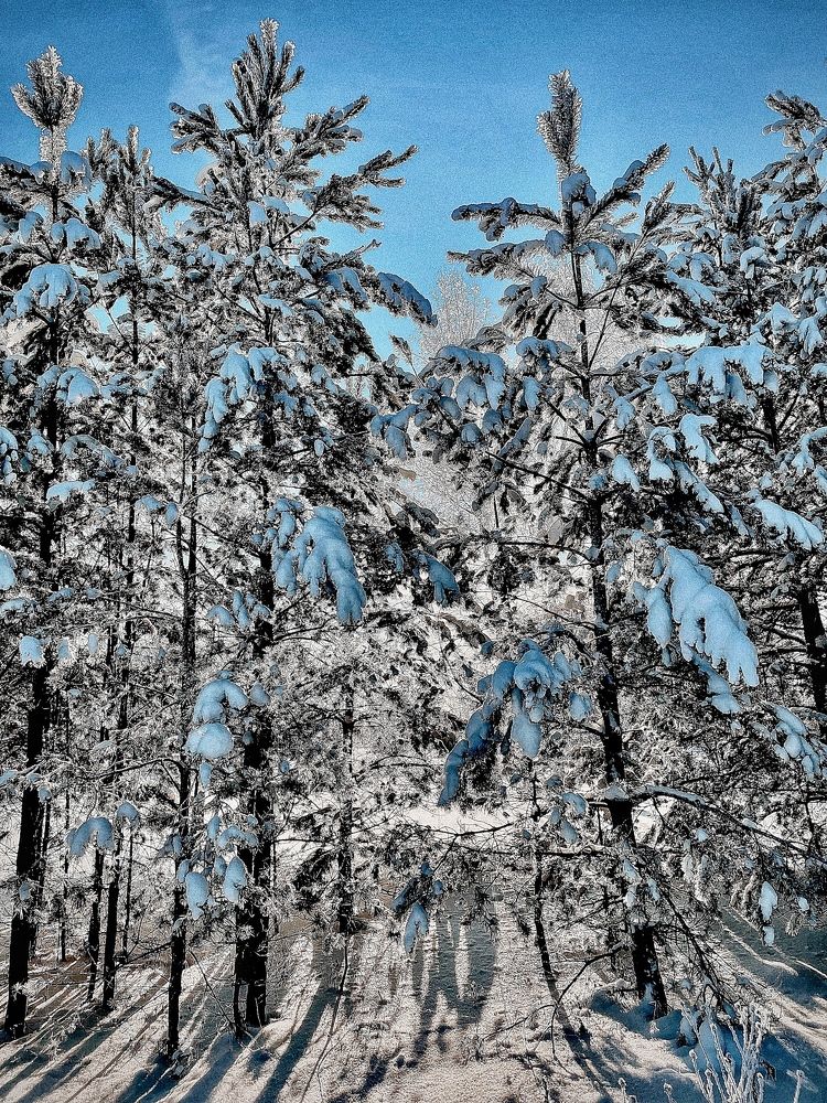 Photograph by Ольга