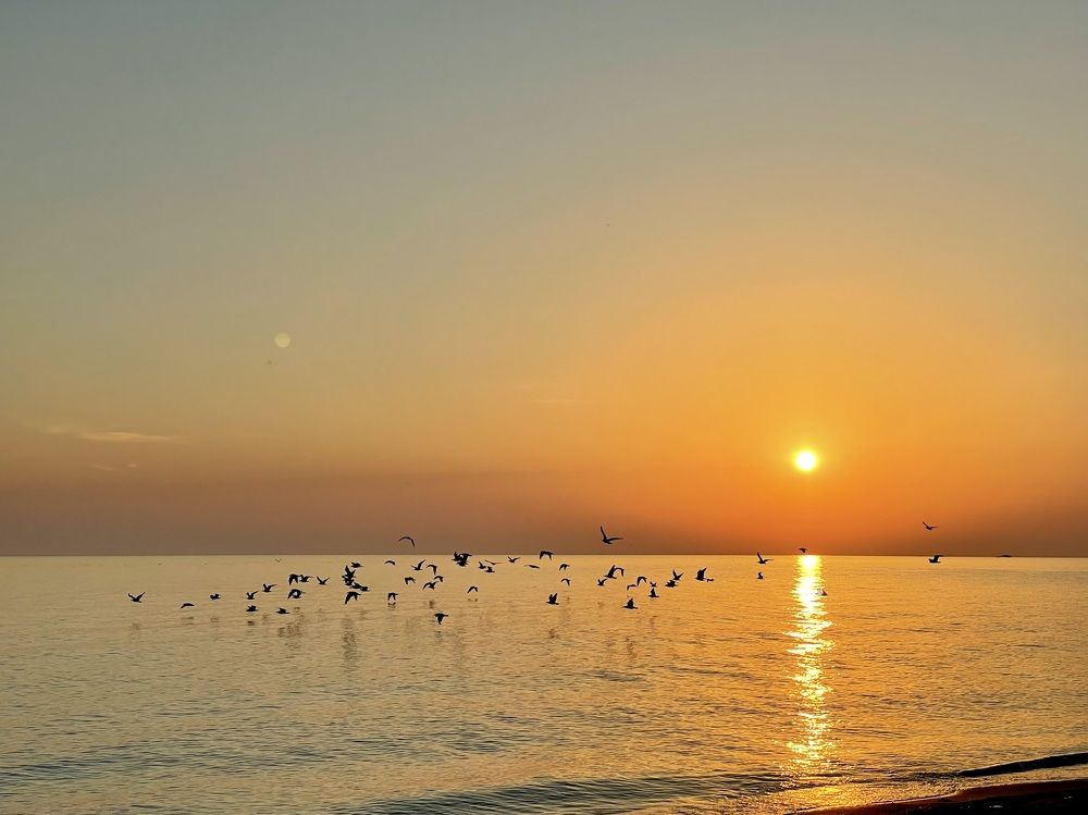 Фотография автора Nadezhda