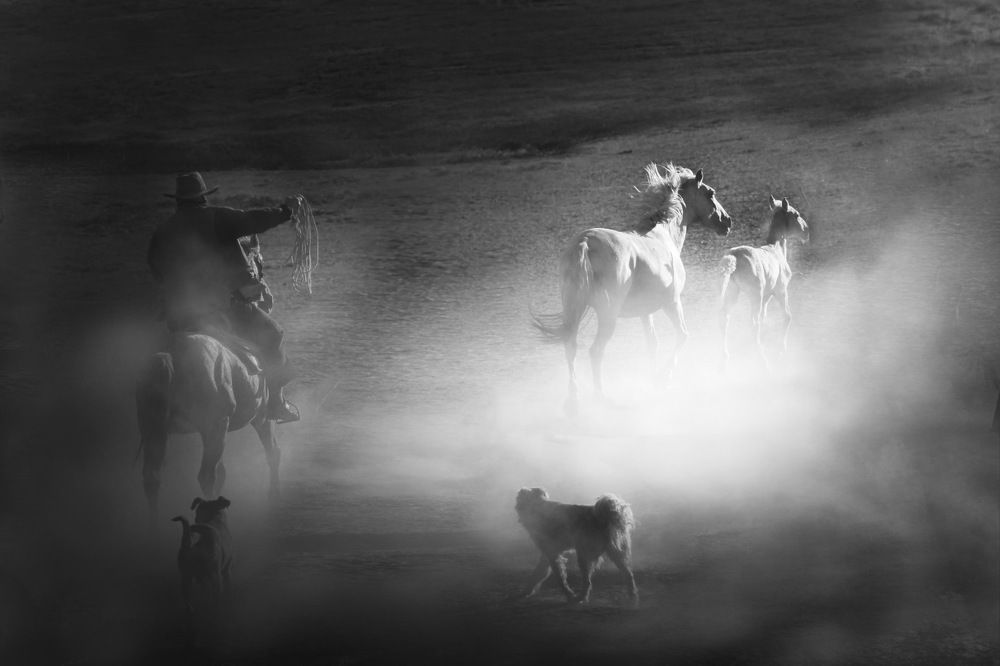 Photograph by Mustafa Sahin