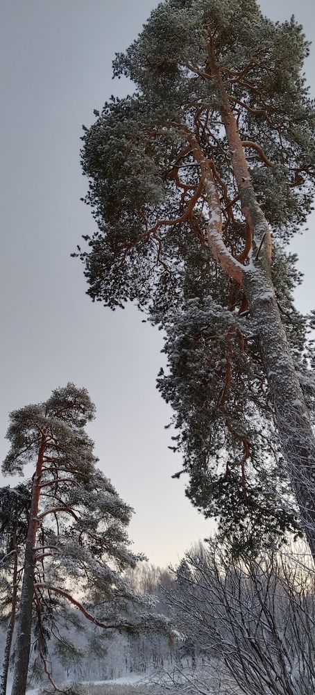 Photo #10045578