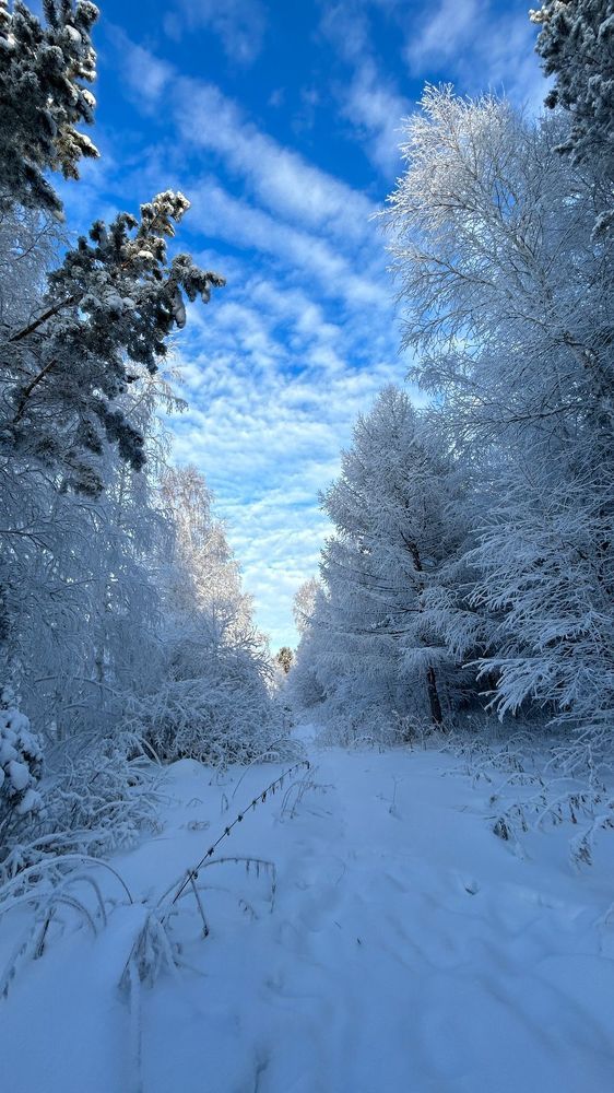 Photograph by Марина Мишутина