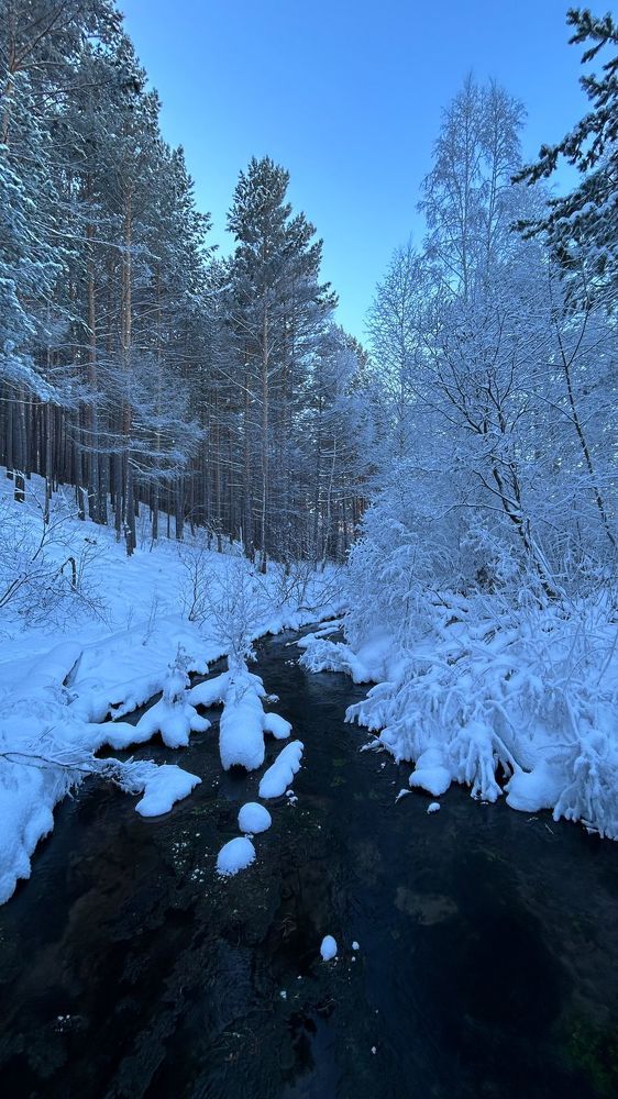 Photograph by Марина Мишутина