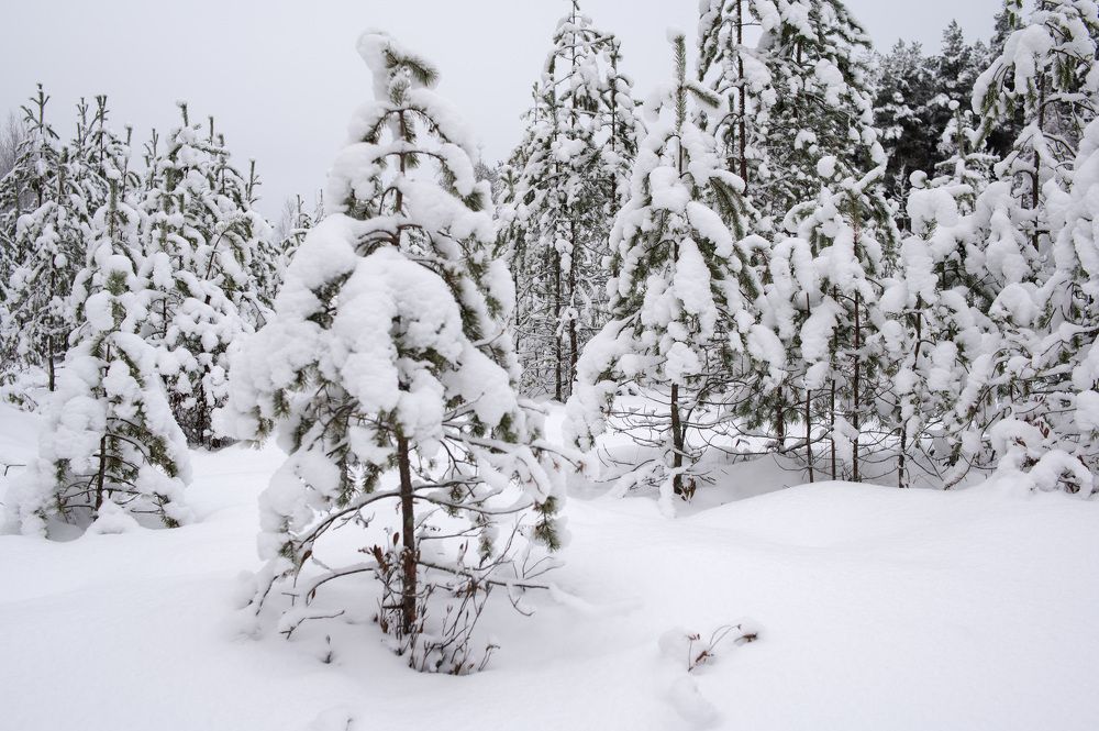 Photograph by Olga Smirnova