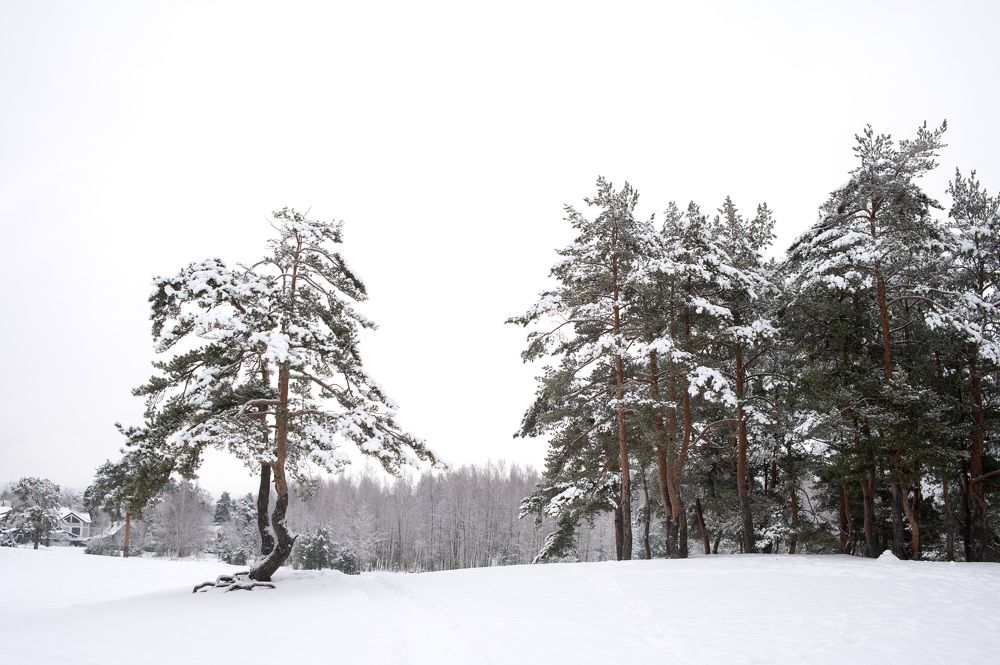 Photograph by Olga Smirnova