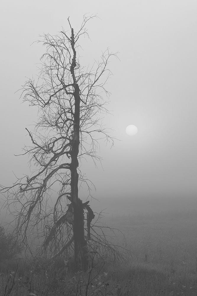 Photograph by Юрий Спасенников