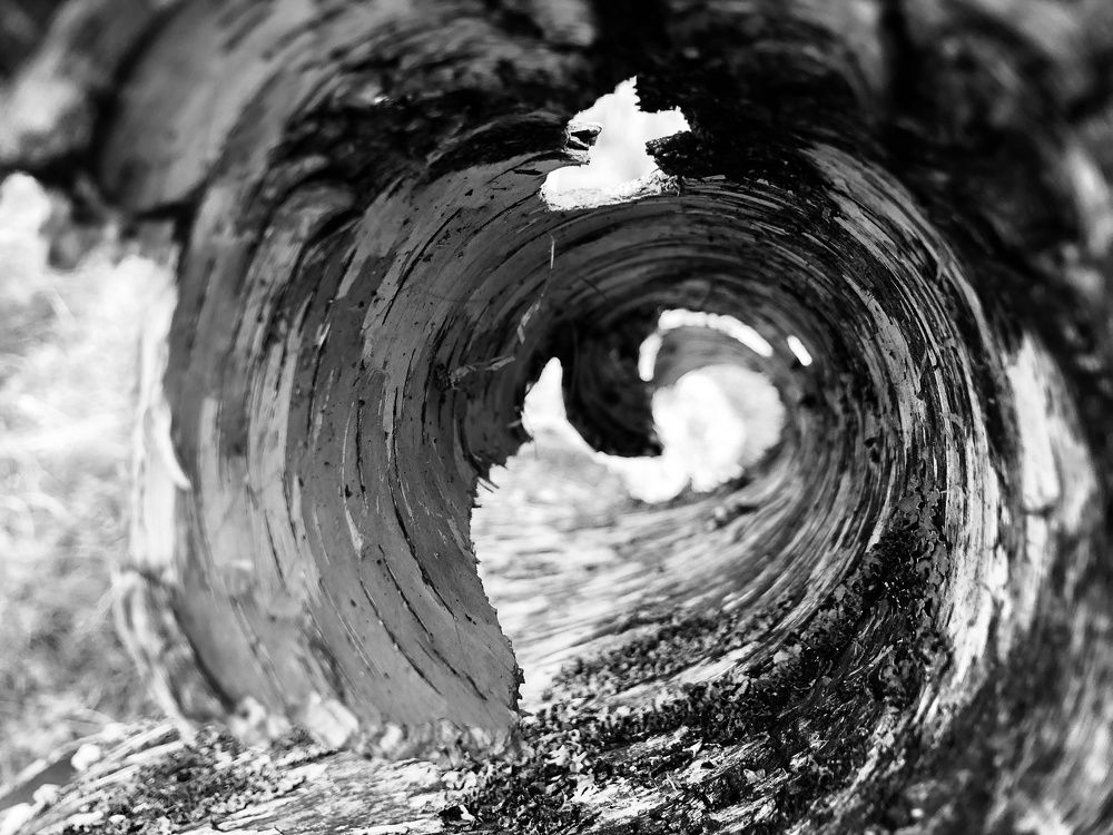 Photograph by Вадим Басов