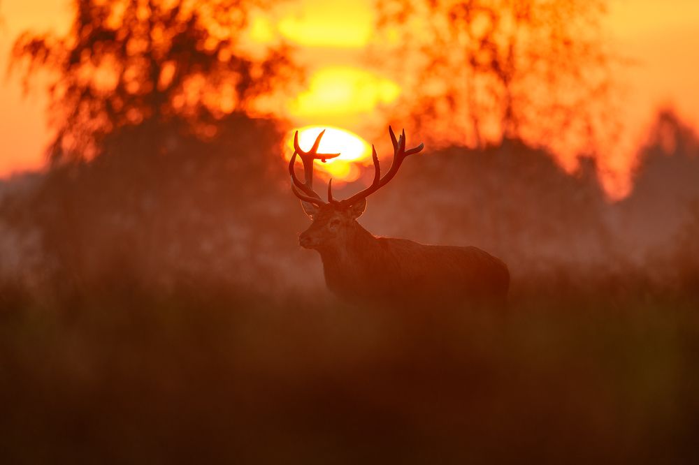 Photograph by Kreicbergs Maris