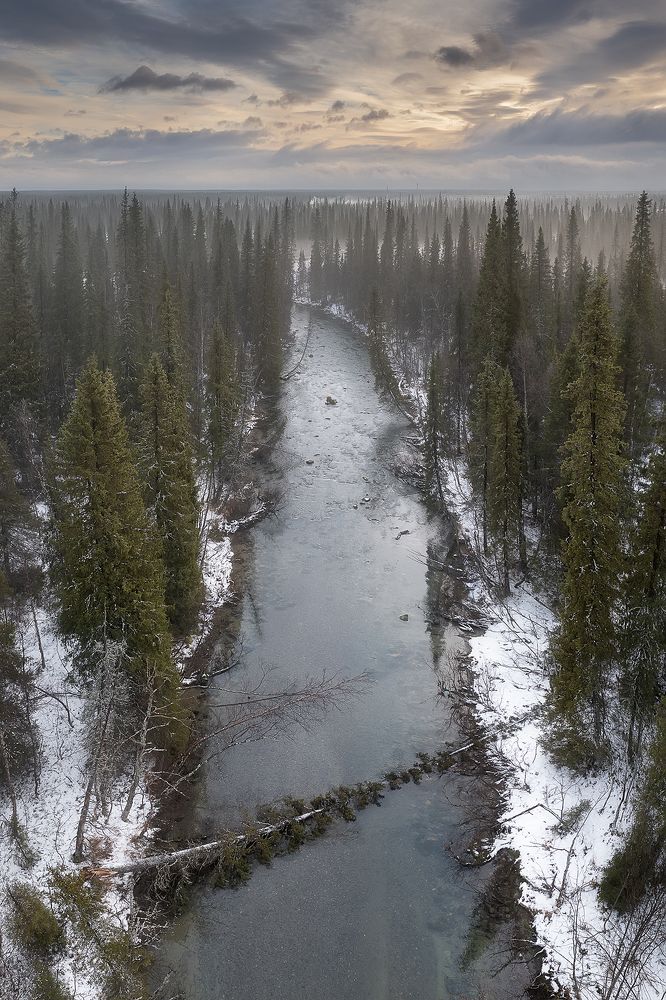 Фотография автора Константин Маланин